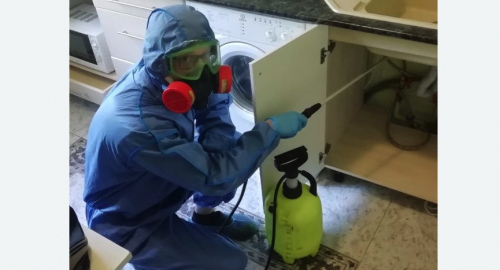 Уничтожение муравьев в квартире. Протвино
