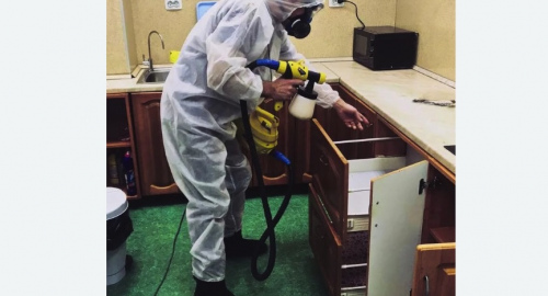 Уничтожение насекомых в квартире. Протвино