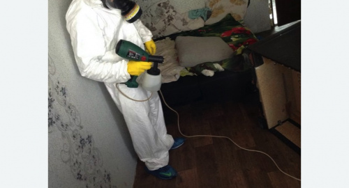 Обработка квартир от насекомых в Протвино