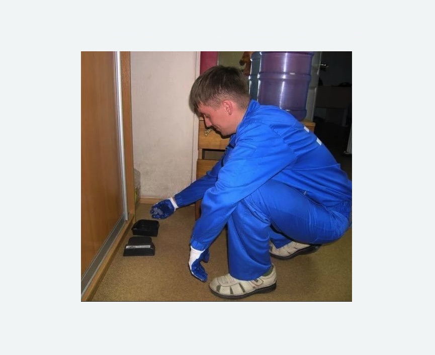 Дератизация крыс в Протвино