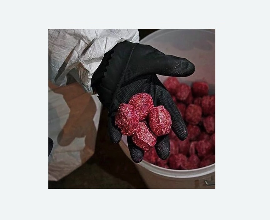 Обработка от крыс в Протвино