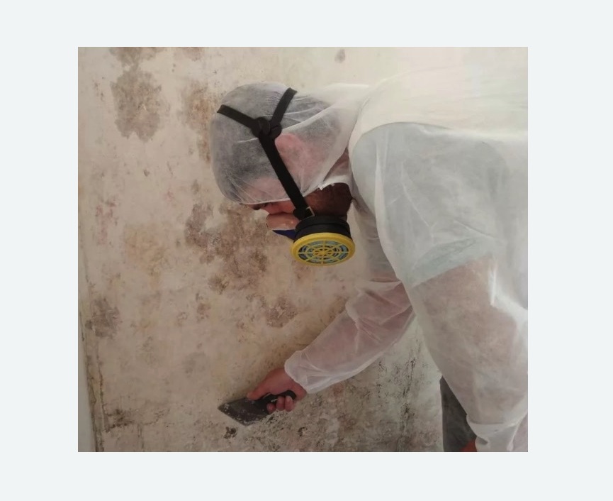 Обработка стен от плесени в Протвино