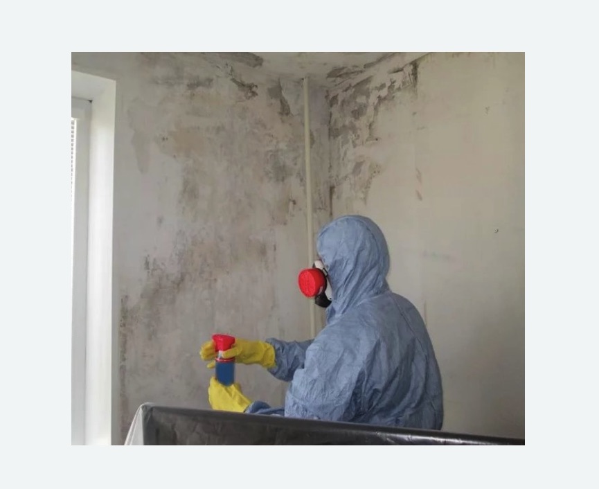 Удаление плесени в квартире в Протвино