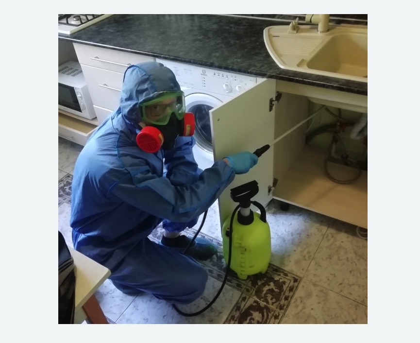 обработка от муравьев в квартире в Протвино