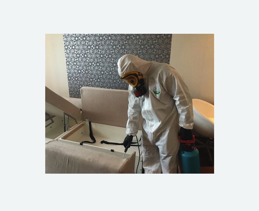 уничтожение клопов в квартире в Протвино