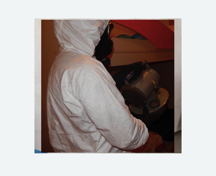 Дезинфекция от муравьев в Протвино